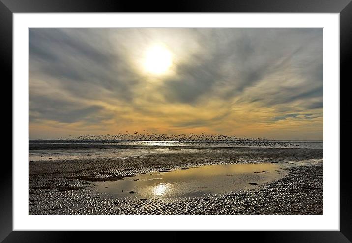 Take off Framed Mounted Print by Gary Pearson