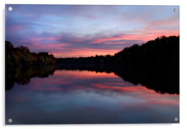 Lake Newport Sunset Acrylic by Bryan Olesen