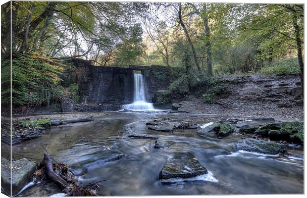 Wepre park waterfall Canvas Print by Paul Farrell Photography