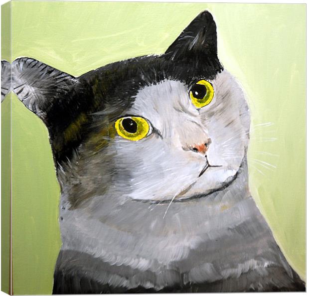 WIDE EYED CAT Canvas Print by JEAN FITZHUGH