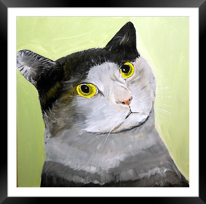 WIDE EYED CAT Framed Mounted Print by JEAN FITZHUGH