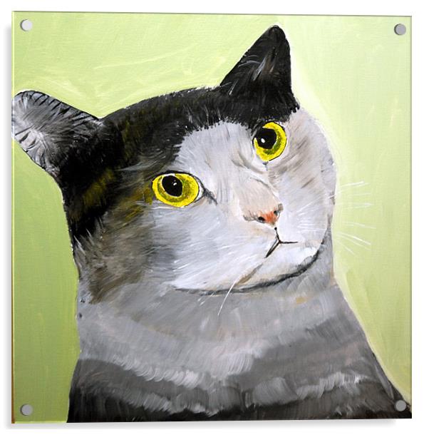 WIDE EYED CAT Acrylic by JEAN FITZHUGH