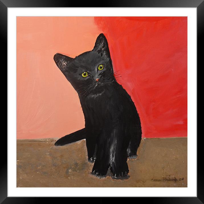 Black Kitten in Art Framed Mounted Print by JEAN FITZHUGH