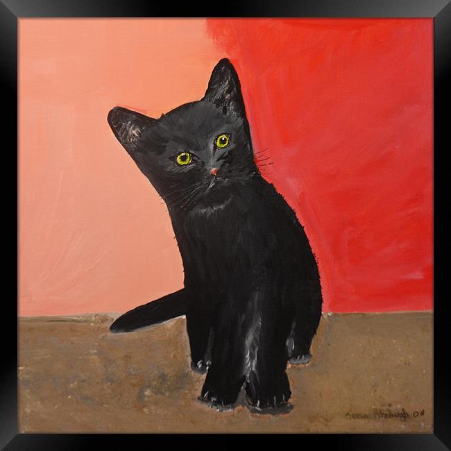 Black Kitten in Art Framed Print by JEAN FITZHUGH