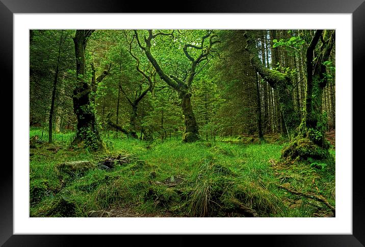 The Heart Of The Forest Framed Mounted Print by Jamie Green