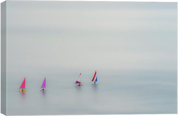 Boats in the Bay Canvas Print by Lee Bailey