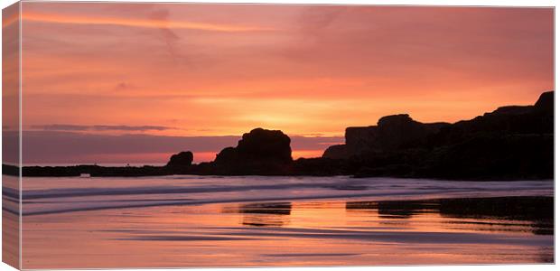 South Shields Sunrise Canvas Print by Ray Pritchard