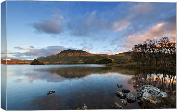 Cregennan with Cader Idris Canvas Print by Rory Trappe