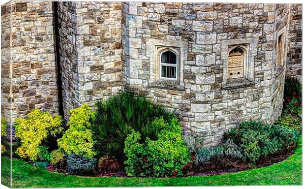 Shrubbery by the castle wall. Canvas Print by Robert Cane