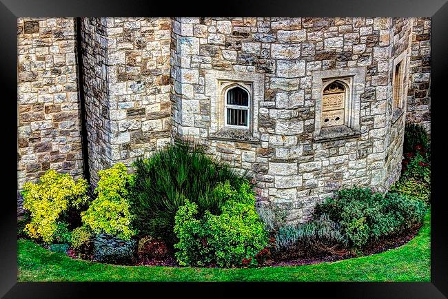 Shrubbery by the castle wall. Framed Print by Robert Cane