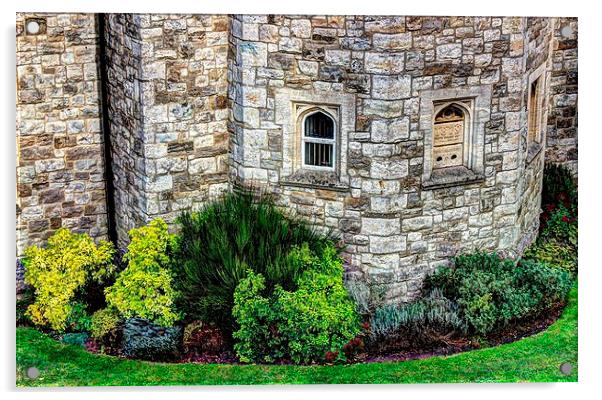 Shrubbery by the castle wall. Acrylic by Robert Cane