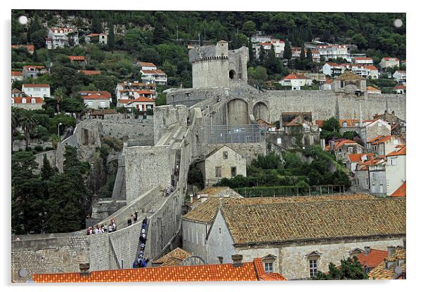 Dubrovnik City Walls Acrylic by Tony Murtagh