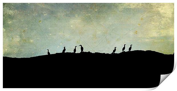 cormorants on a rock Print by Heather Newton