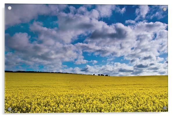 Sunrise Over A Rapeseed Field Acrylic by Kevin Browne