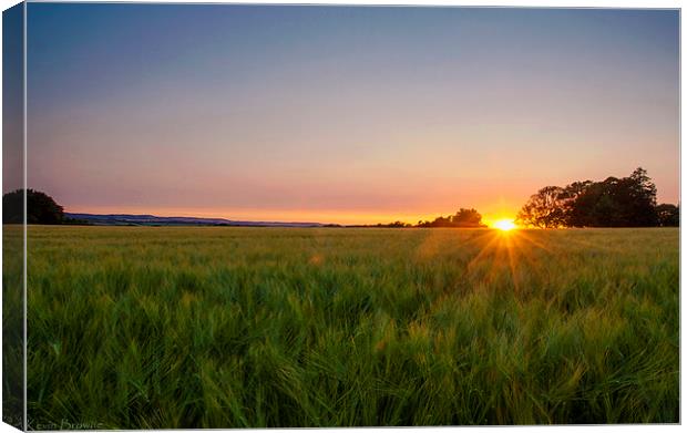 Hampshire Field Sunset Canvas Print by Kevin Browne