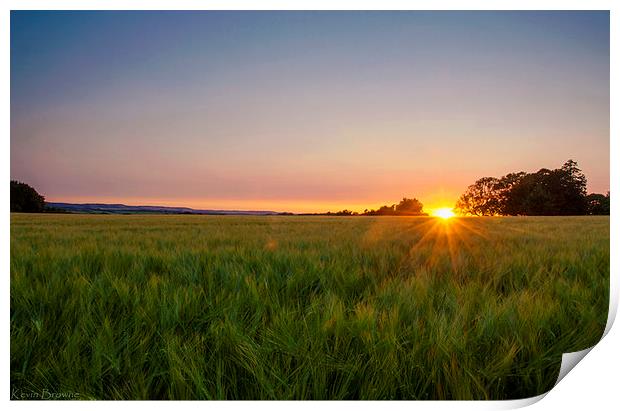Hampshire Field Sunset Print by Kevin Browne
