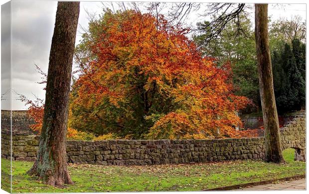 Autumn Colour by the castle. Canvas Print by Robert Cane