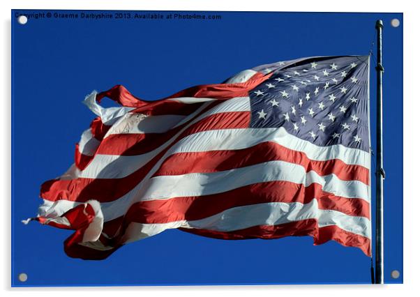The national flag of the United States of America Acrylic by Graeme Darbyshire