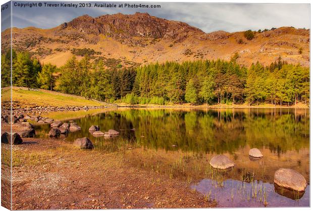 Blea Tarn Lake District Canvas Print by Trevor Kersley RIP