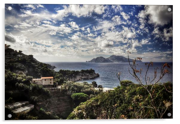 View of Capri Acrylic by Scott Anderson