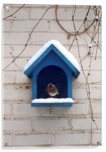 Birdhouse Acrylic by Victor Burnside