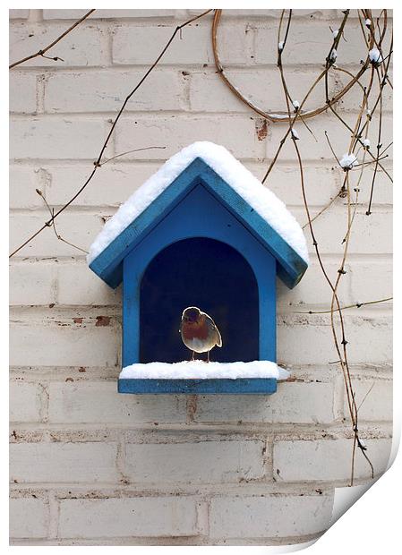 Birdhouse Print by Victor Burnside