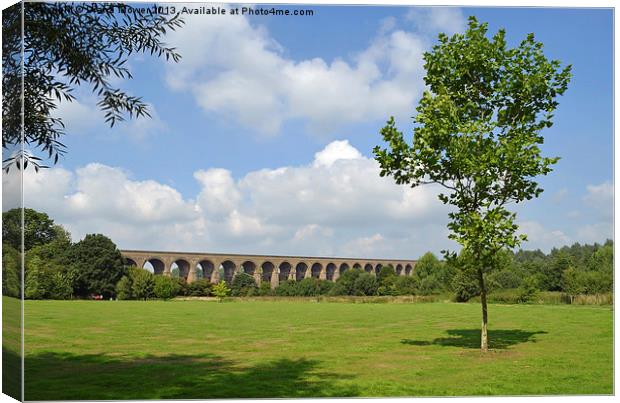 Chappel Viaduct Essex Canvas Print by Diana Mower