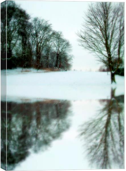 ol man winter Canvas Print by dale rys (LP)