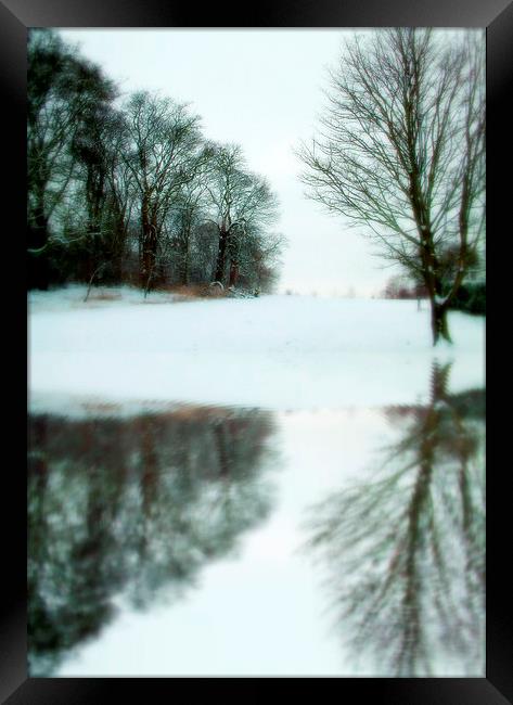 ol man winter Framed Print by dale rys (LP)