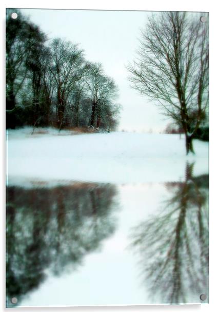 ol man winter Acrylic by dale rys (LP)