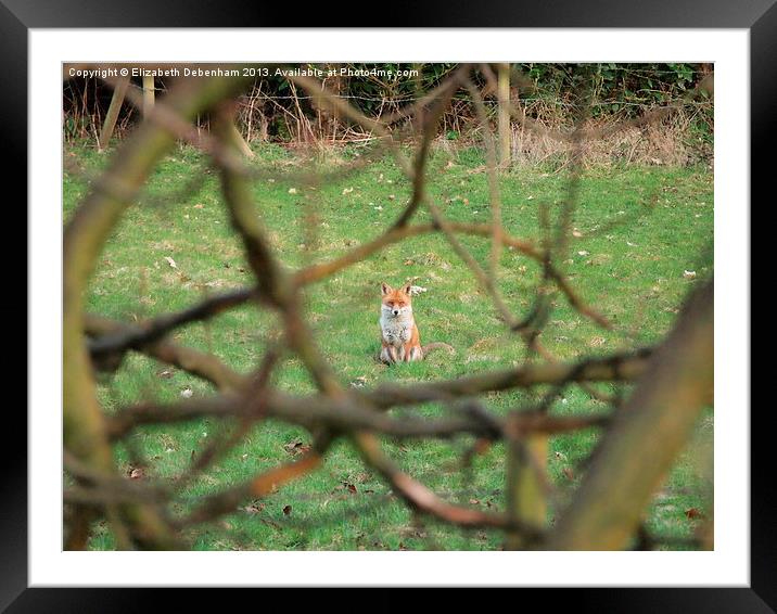 Mr Fox on Guard Framed Mounted Print by Elizabeth Debenham