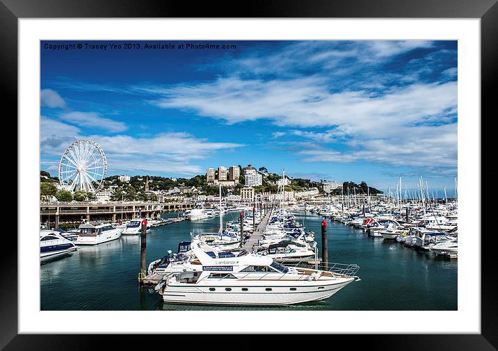 Luxury in the Marina Framed Mounted Print by Tracey Yeo