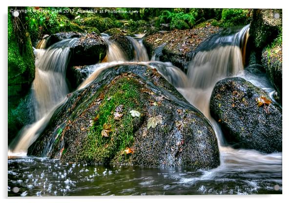 Wyming Brook Falls Acrylic by Steve H Clark