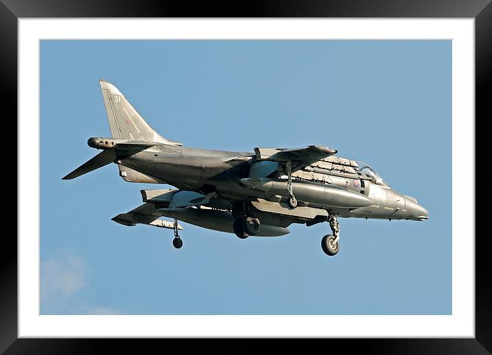 RAF Harrier hovering Framed Mounted Print by Rachel & Martin Pics