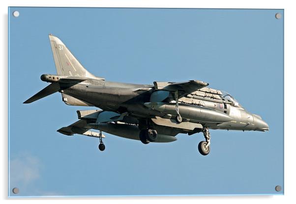 RAF Harrier hovering Acrylic by Rachel & Martin Pics