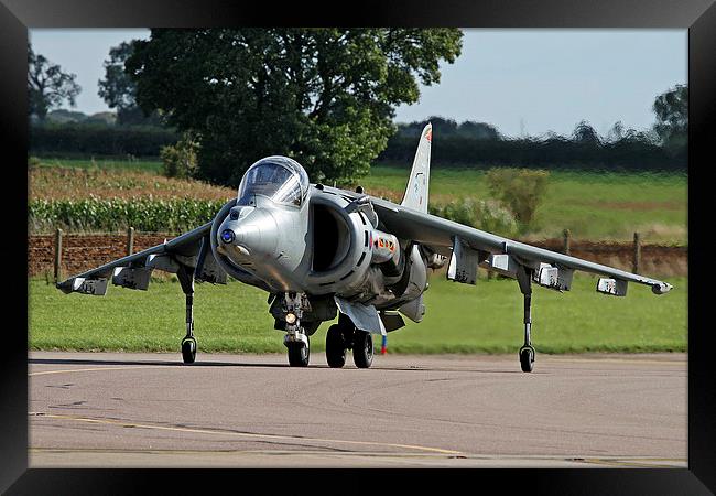 RAF Harrier taxying Framed Print by Rachel & Martin Pics