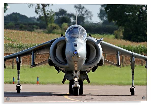 RAF Harrier head on Acrylic by Rachel & Martin Pics