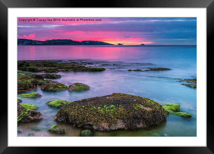 Sunrise over Torquay. Framed Mounted Print by Tracey Yeo