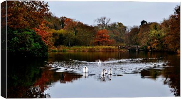 Talygarn Lake Canvas Print by Paula J James