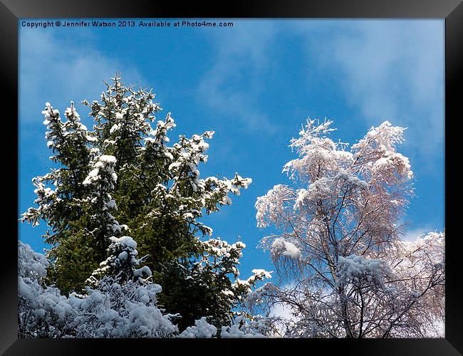 Snowy Treetops Framed Print by Jennifer Henderson
