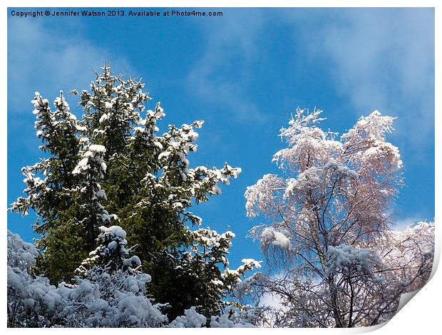Snowy Treetops Print by Jennifer Henderson