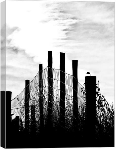 Excel Chart Fence Canvas Print by Fraser Hetherington