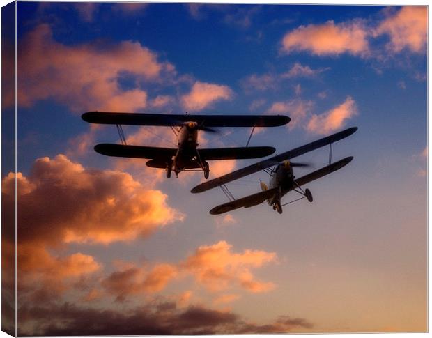 Hawker Nimrod Bi-planes Canvas Print by Nigel Bangert