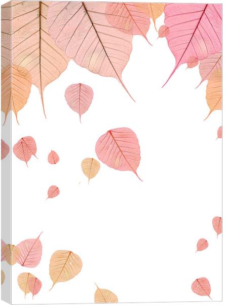 Autumn Leaves Canvas Print by Victor Burnside