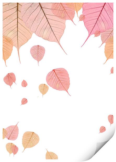 Autumn Leaves Print by Victor Burnside