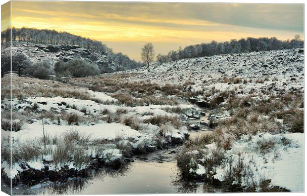 Winter In Derbyshire Canvas Print by Gerald Robinson