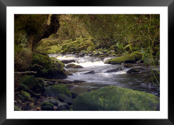 Eller Beck Framed Mounted Print by David Borrill