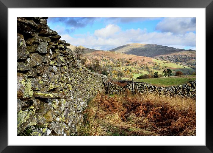Autumnal Countryside Framed Mounted Print by Gary Kenyon