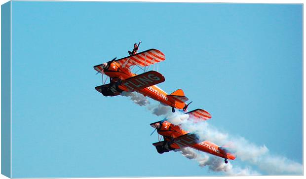 Wing Walkers Canvas Print by Steven Cole