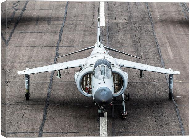 Sea Harrier ZD610 Canvas Print by Keith Campbell